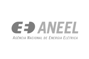 aneel